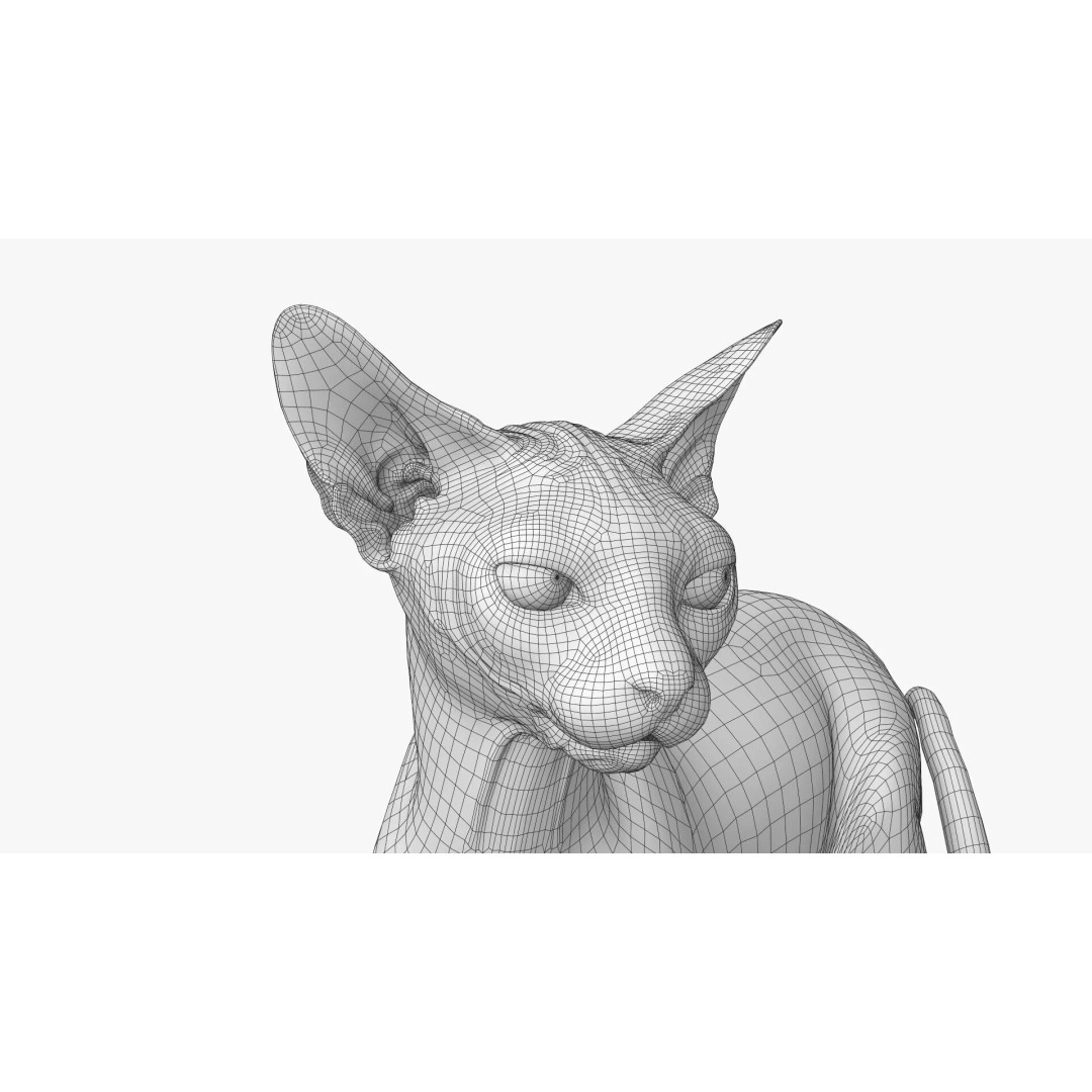 Sphynx Cat 3D Model – Realistic Lying Pose, PBR Textures, FBX - View 16
