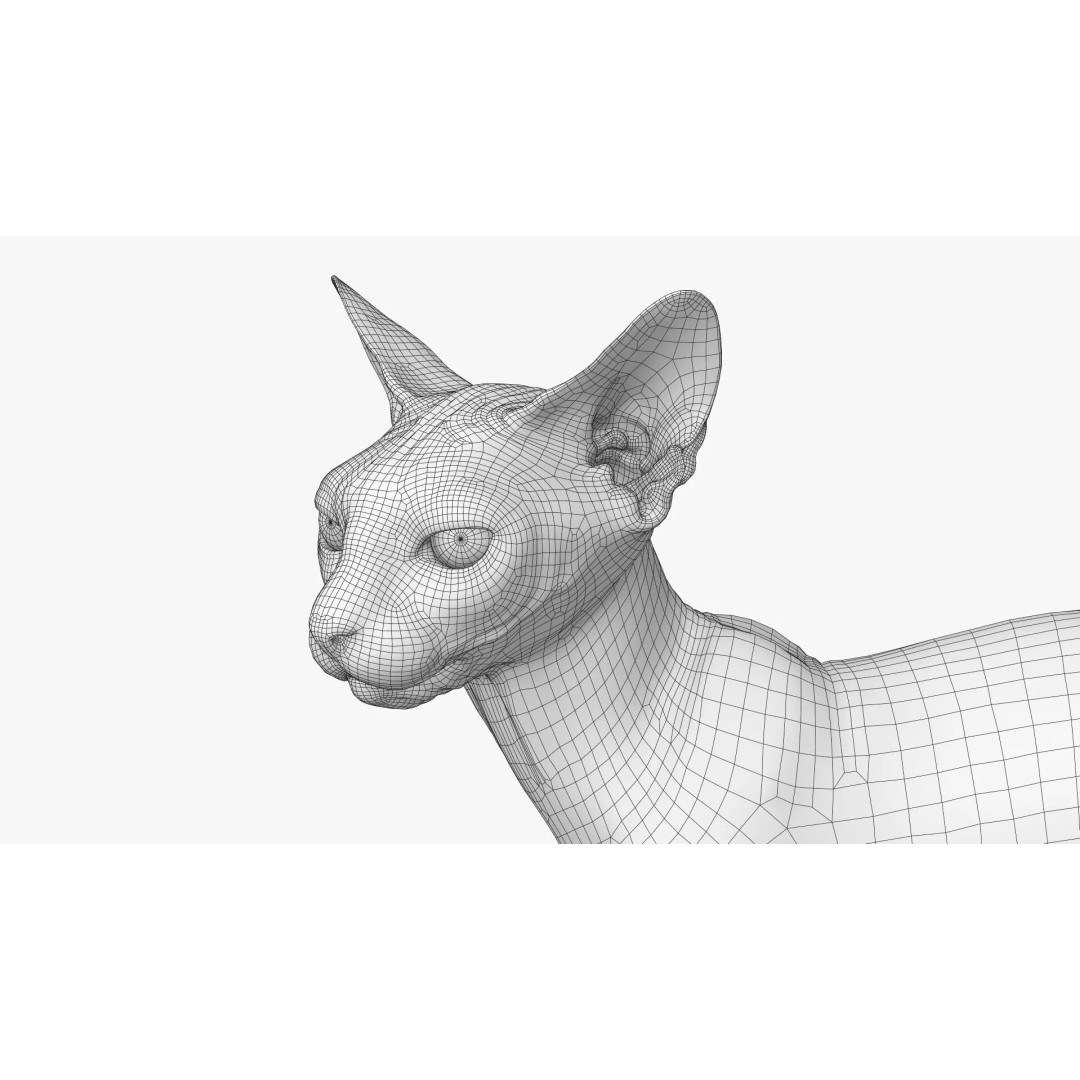 Sphynx Cat 3D Model – Realistic Lying Pose, PBR Textures, FBX - View 17