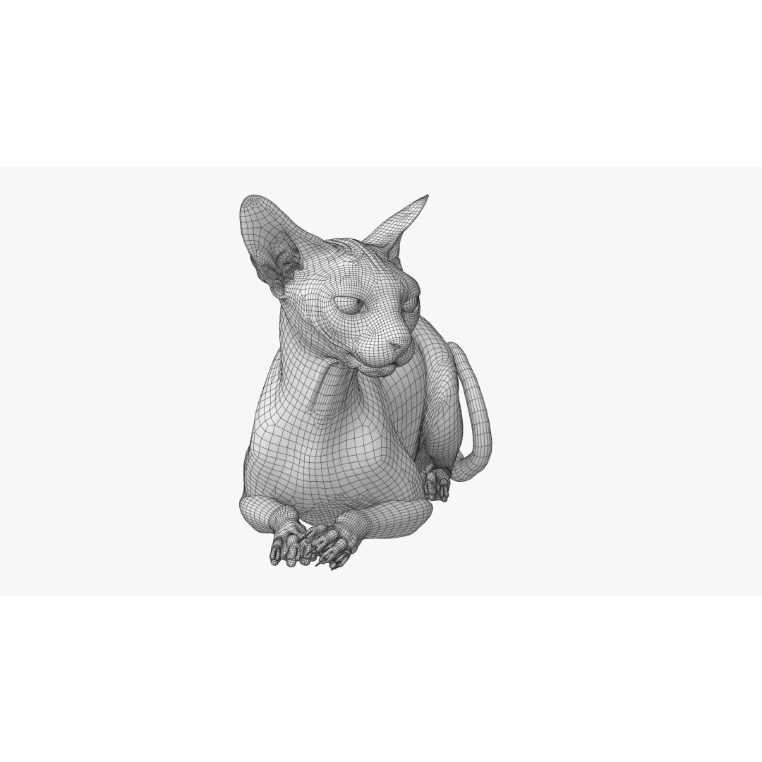 Sphynx Cat 3D Model – Realistic Lying Pose, PBR Textures, FBX - View 19