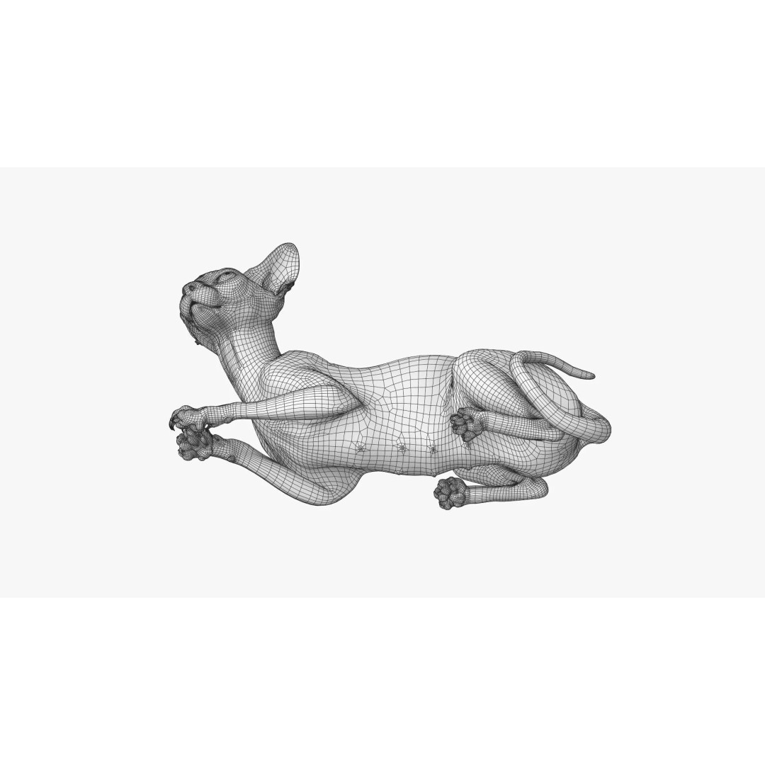 Sphynx Cat 3D Model – Realistic Lying Pose, PBR Textures, FBX - View 21