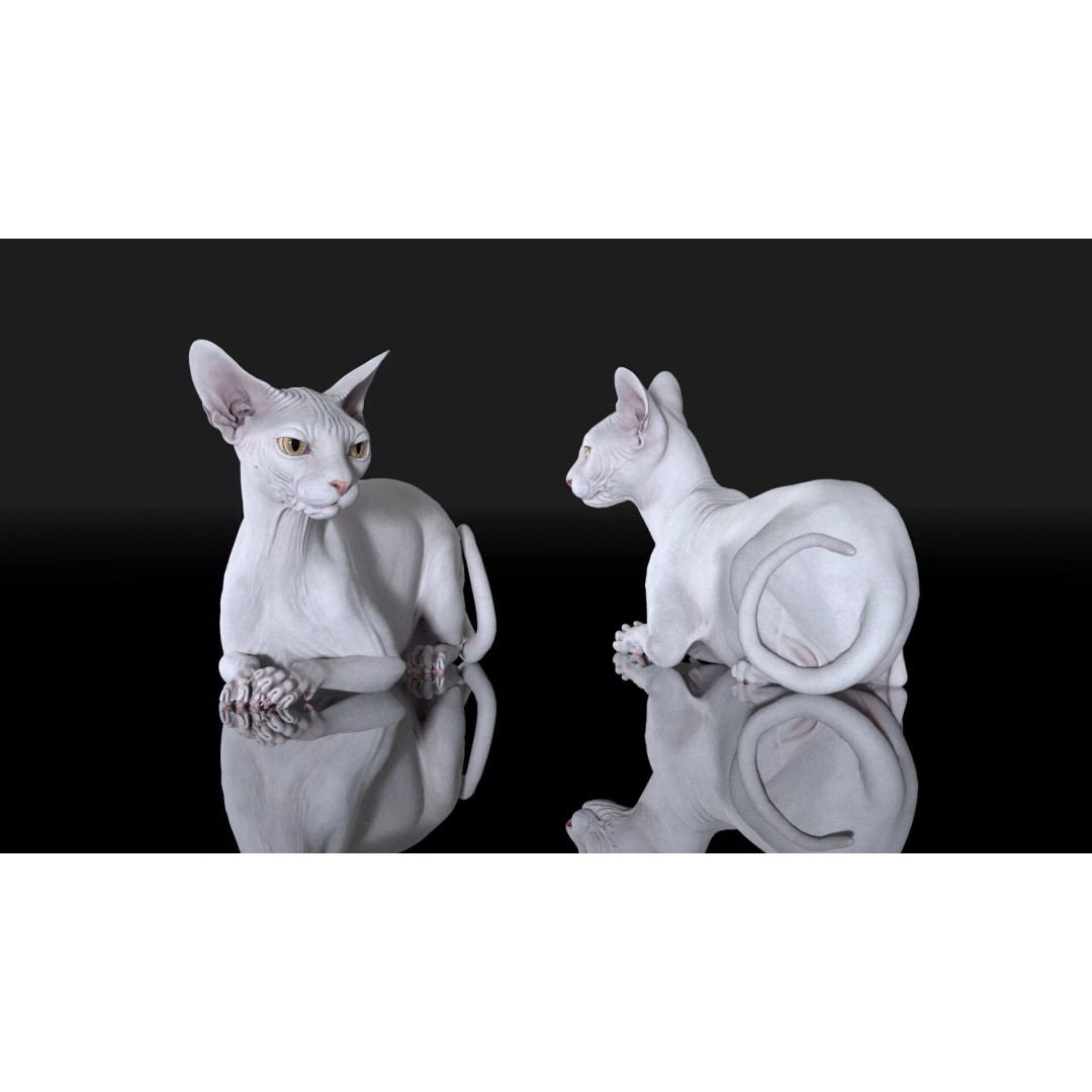 Sphynx Cat 3D Model – Realistic Lying Pose, PBR Textures, FBX - View 9