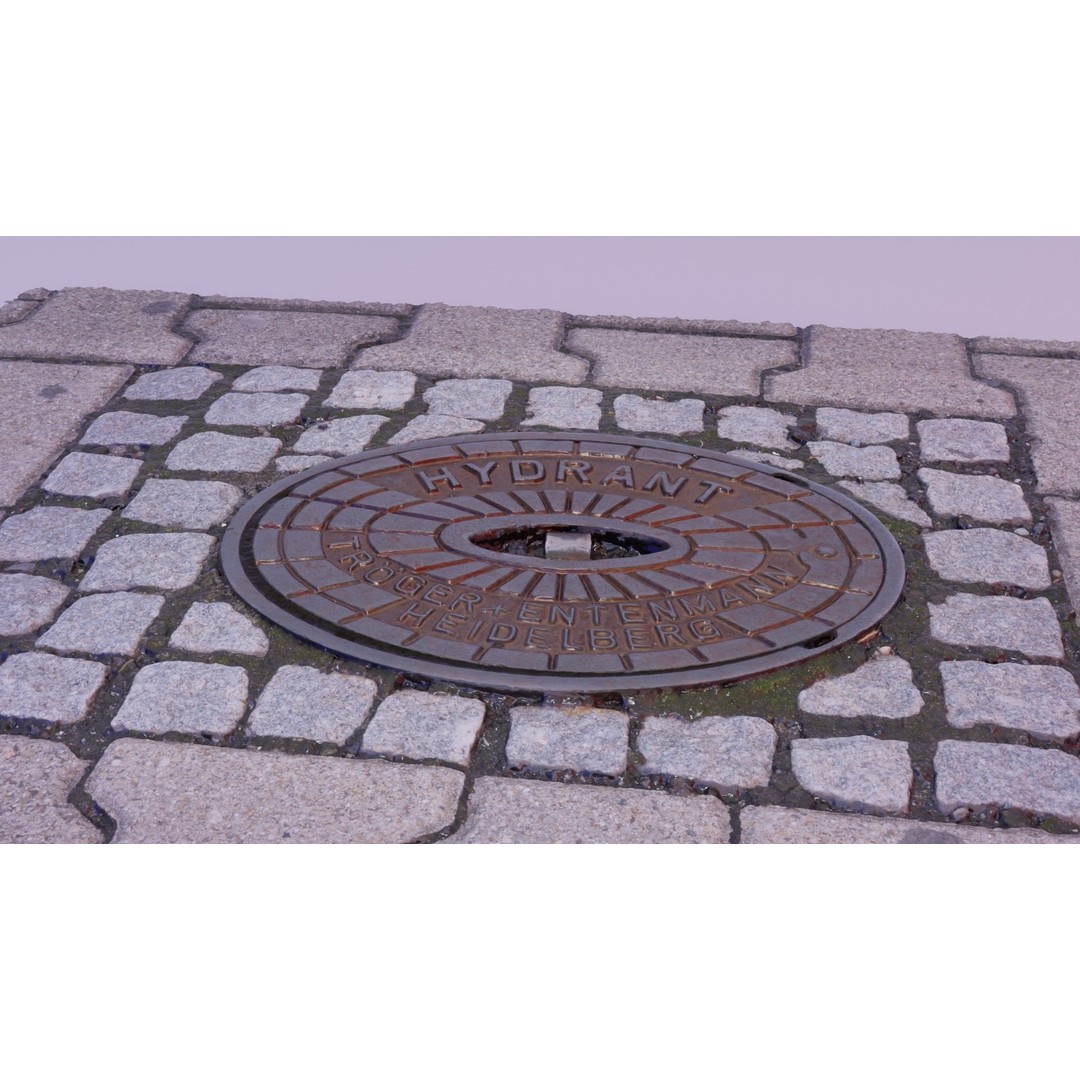 Hydrant Street Cover 3D Model – High Poly, PBR Textures, Blender, FBX - View 3
