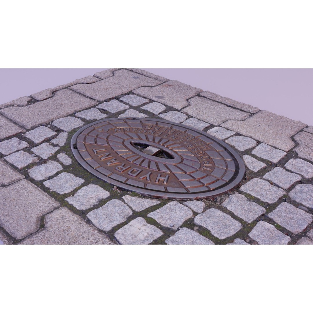 Hydrant Street Cover 3D Model – High Poly, PBR Textures, Blender, FBX - View 7
