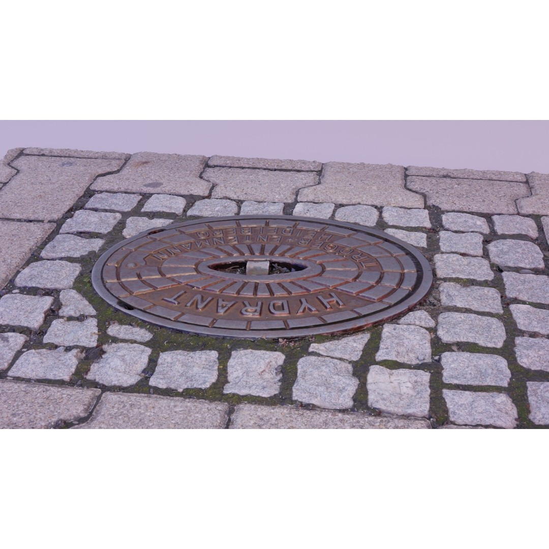 Hydrant Street Cover 3D Model – High Poly, PBR Textures, Blender, FBX - View 8