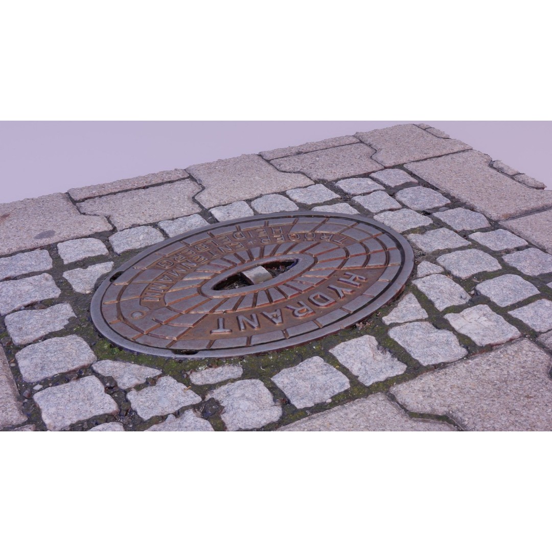 Hydrant Street Cover 3D Model – High Poly, PBR Textures, Blender, FBX - View 9