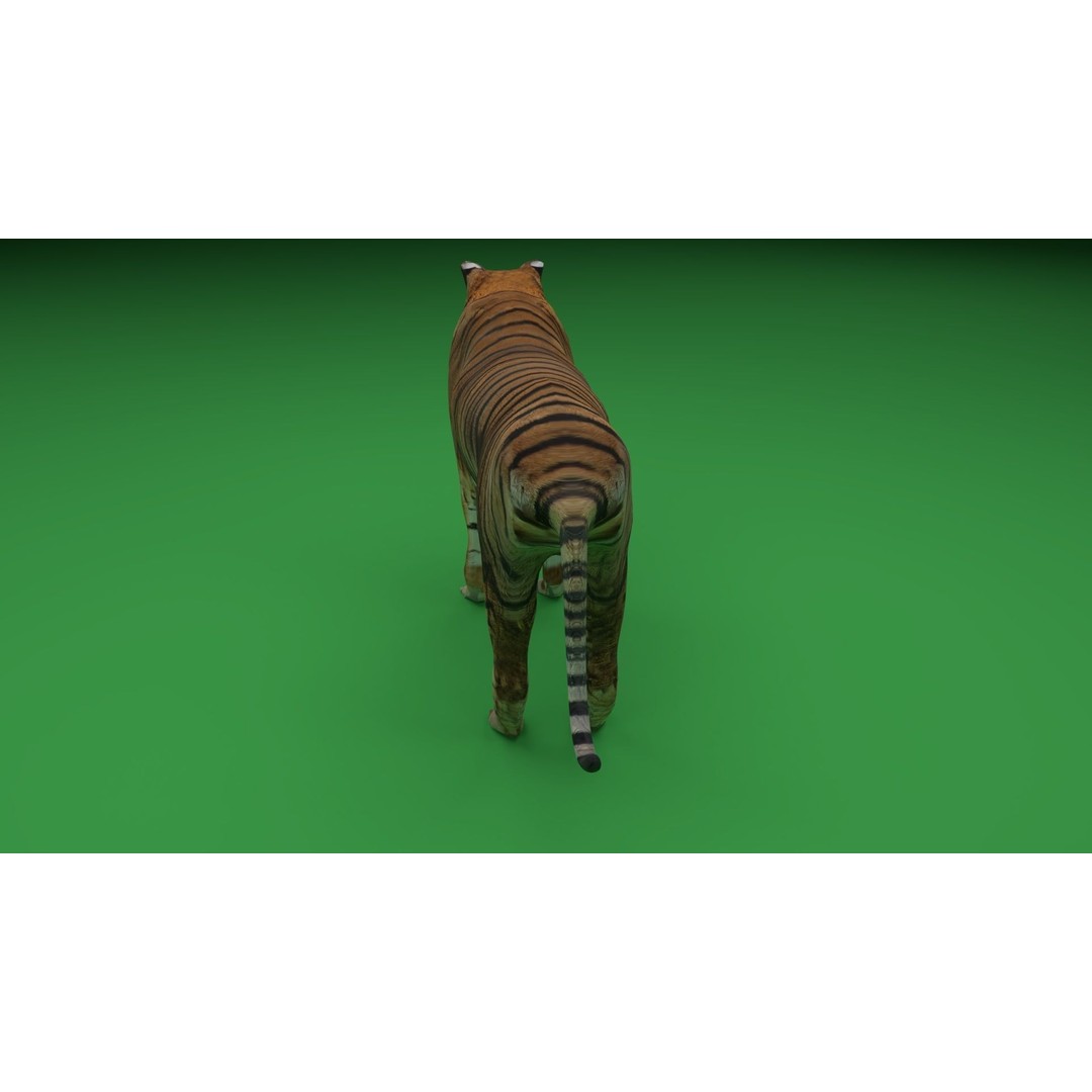 Tiger 3D Model – Low Poly Game Asset, FBX, PBR Textures - View 11
