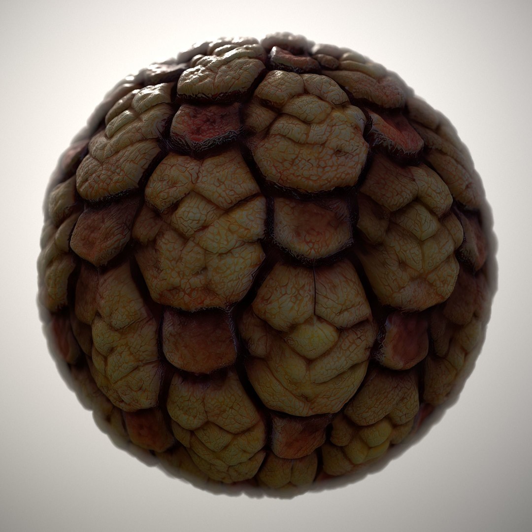 Alien Skin 3D Model – Seamless PBR Texture Pack for Games - View 11