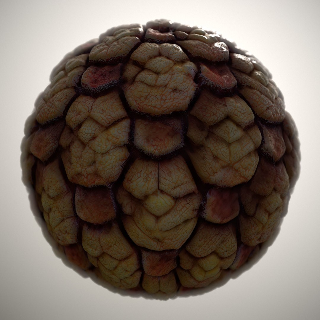 Alien Skin 3D Model – Seamless PBR Texture Pack for Games - View 9