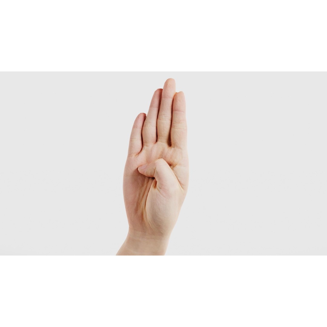 Finger Alphabet B 3D Model – Low Poly Hand Gesture, FBX, Blender