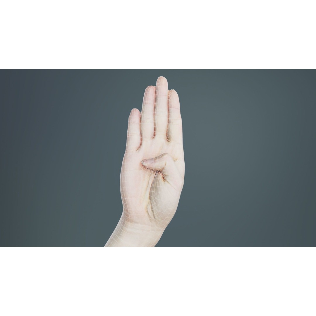 Finger Alphabet B 3D Model – Low Poly Hand Gesture, FBX, Blender - View 11