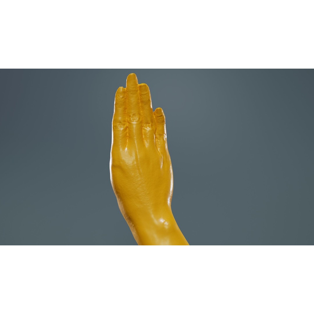 Finger Alphabet B 3D Model – Low Poly Hand Gesture, FBX, Blender - View 15