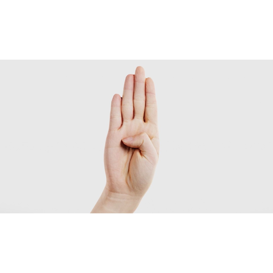 Finger Alphabet B 3D Model – Low Poly Hand Gesture, FBX, Blender - View 17