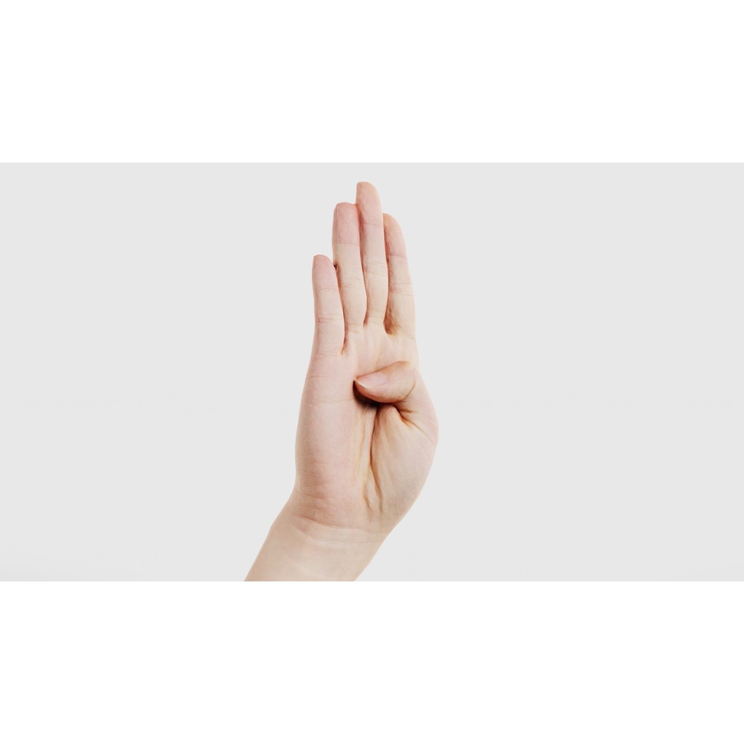 Finger Alphabet B 3D Model – Low Poly Hand Gesture, FBX, Blender - View 18