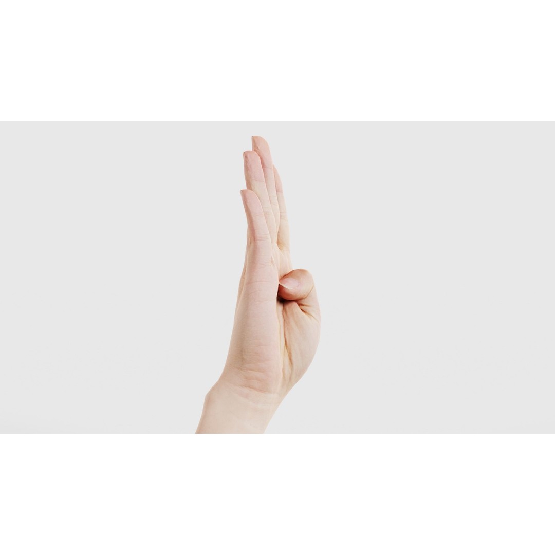 Finger Alphabet B 3D Model – Low Poly Hand Gesture, FBX, Blender - View 19