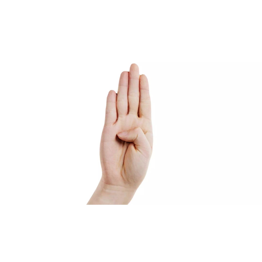 Finger Alphabet B 3D Model – Low Poly Hand Gesture, FBX, Blender - View 2