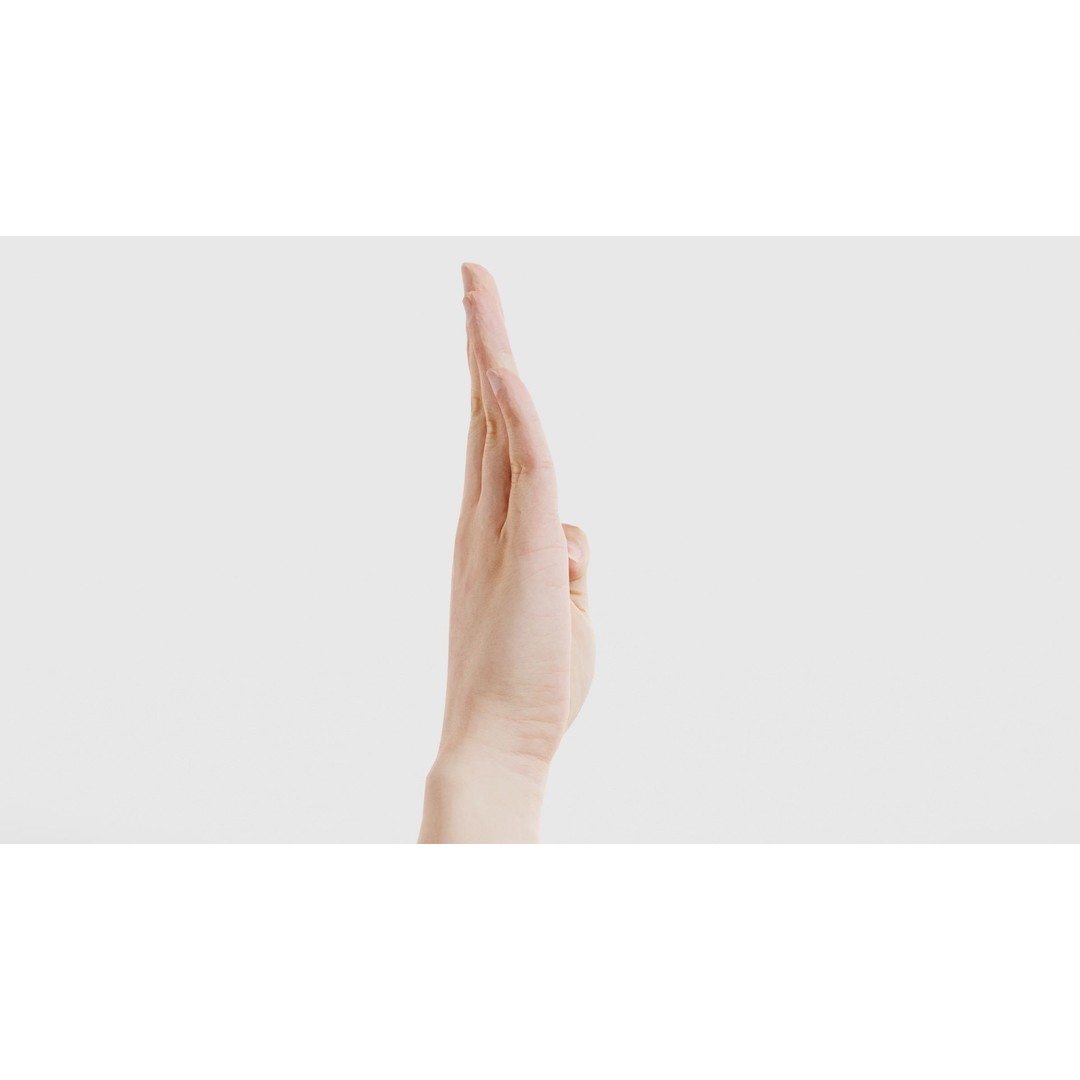 Finger Alphabet B 3D Model – Low Poly Hand Gesture, FBX, Blender - View 20