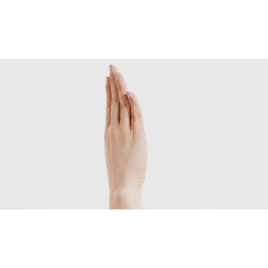 Finger Alphabet B 3D Model – Low Poly Hand Gesture, FBX, Blender - View 21