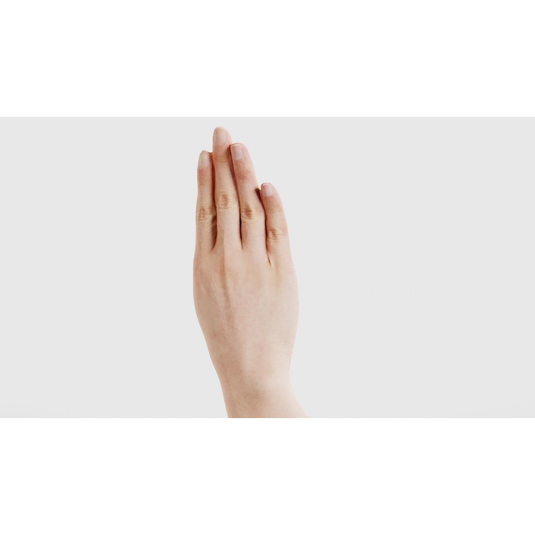 Finger Alphabet B 3D Model – Low Poly Hand Gesture, FBX, Blender - View 22
