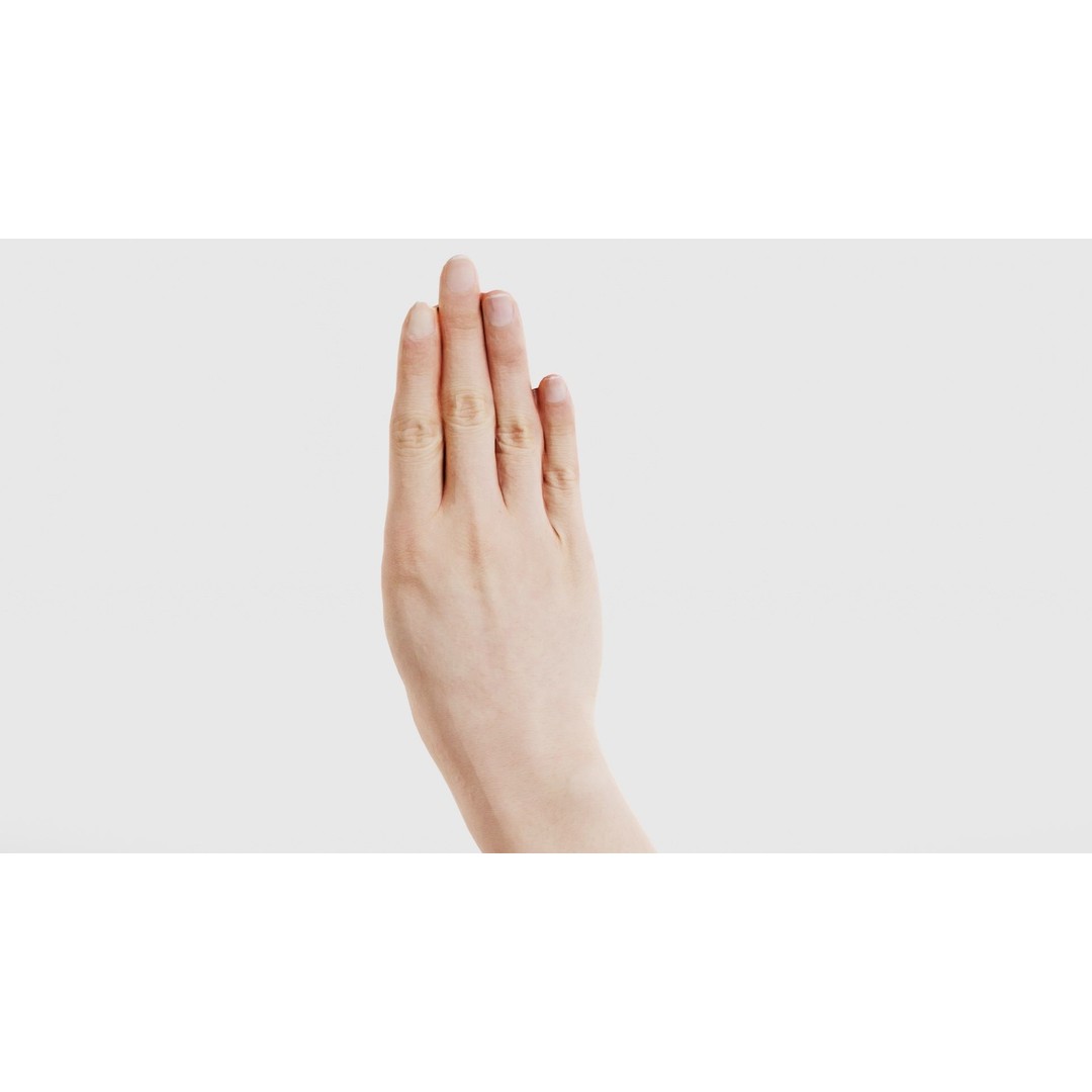 Finger Alphabet B 3D Model – Low Poly Hand Gesture, FBX, Blender - View 23