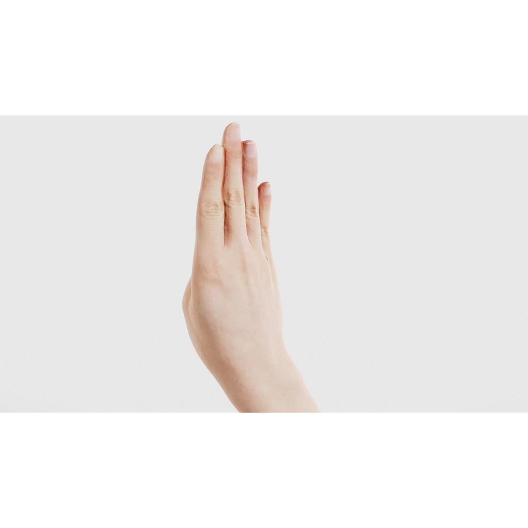 Finger Alphabet B 3D Model – Low Poly Hand Gesture, FBX, Blender - View 24
