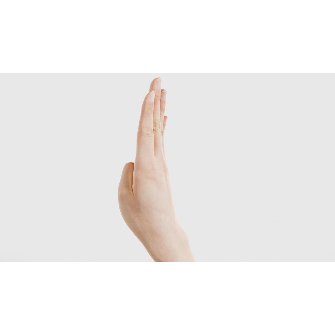 Finger Alphabet B 3D Model – Low Poly Hand Gesture, FBX, Blender - View 25