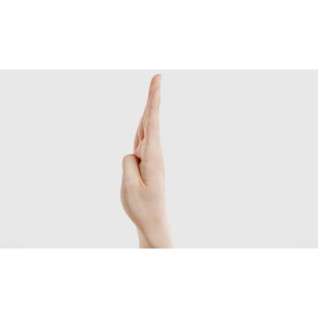 Finger Alphabet B 3D Model – Low Poly Hand Gesture, FBX, Blender - View 26