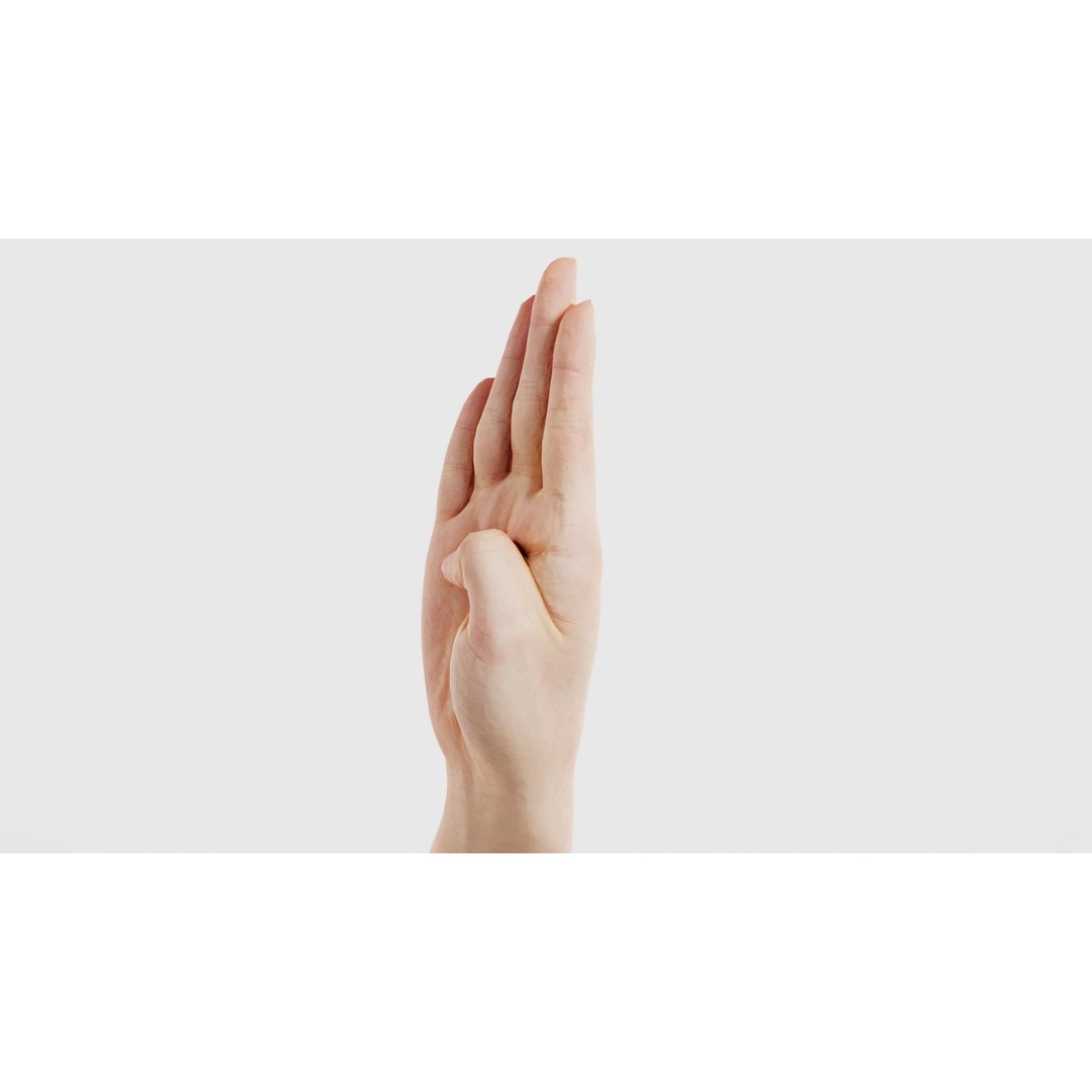 Finger Alphabet B 3D Model – Low Poly Hand Gesture, FBX, Blender - View 27