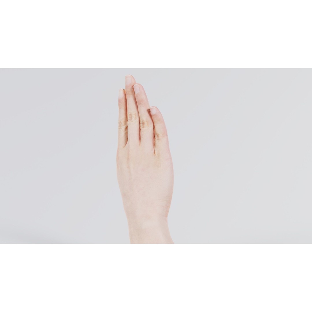 Finger Alphabet B 3D Model – Low Poly Hand Gesture, FBX, Blender - View 4