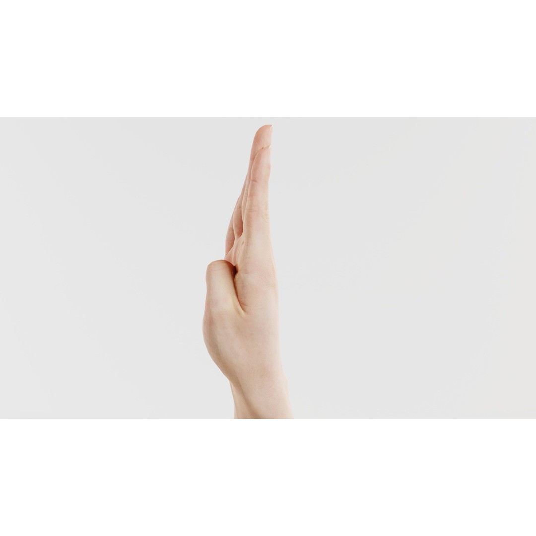 Finger Alphabet B 3D Model – Low Poly Hand Gesture, FBX, Blender - View 5