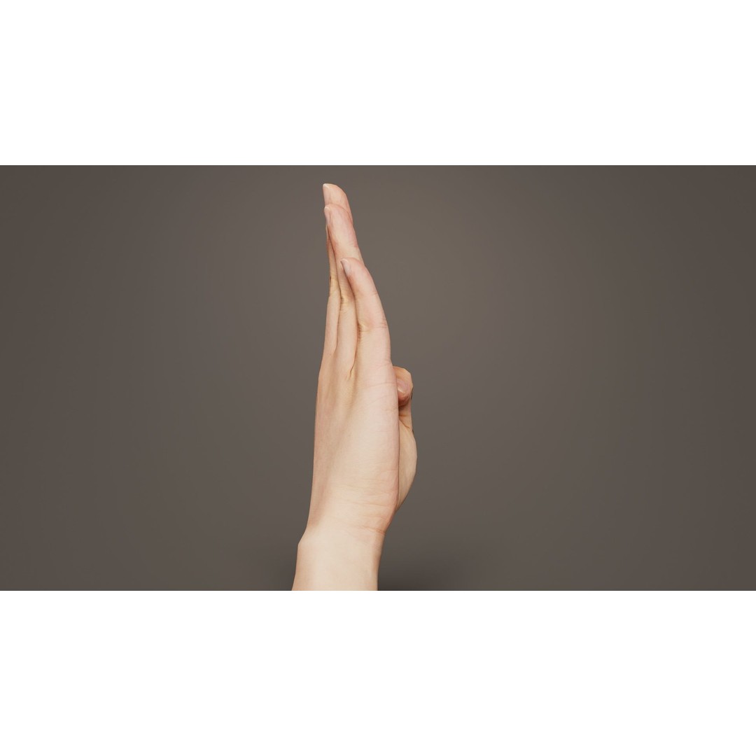 Finger Alphabet B 3D Model – Low Poly Hand Gesture, FBX, Blender - View 6
