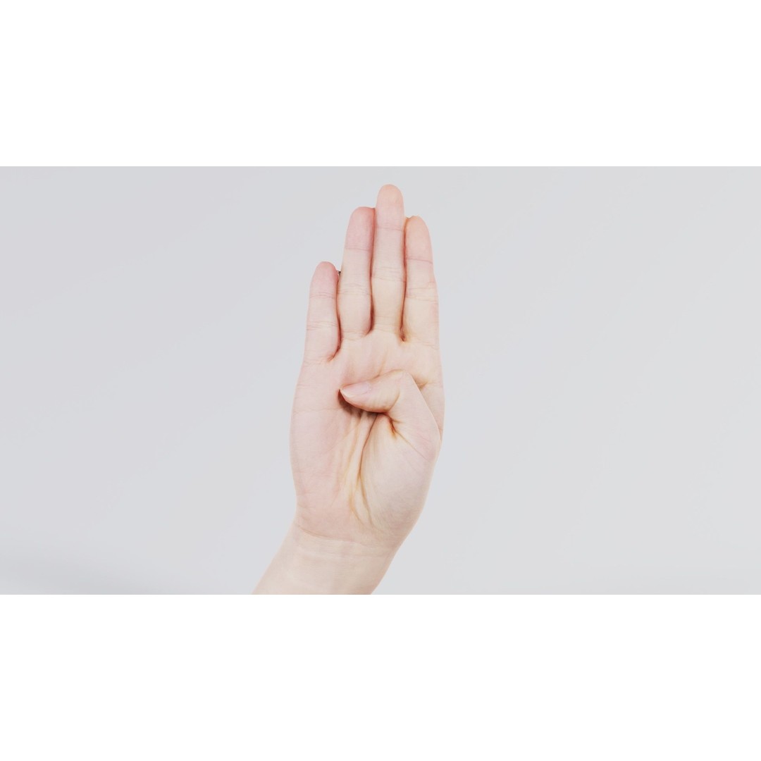 Finger Alphabet B 3D Model – Low Poly Hand Gesture, FBX, Blender - View 7