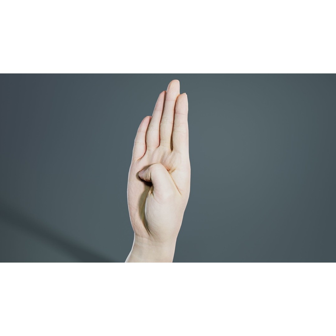 Finger Alphabet B 3D Model – Low Poly Hand Gesture, FBX, Blender - View 8
