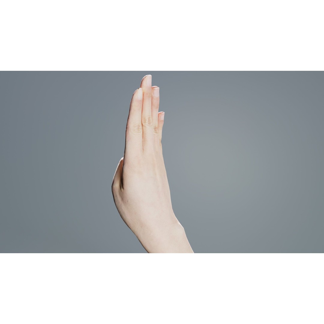Finger Alphabet B 3D Model – Low Poly Hand Gesture, FBX, Blender - View 9