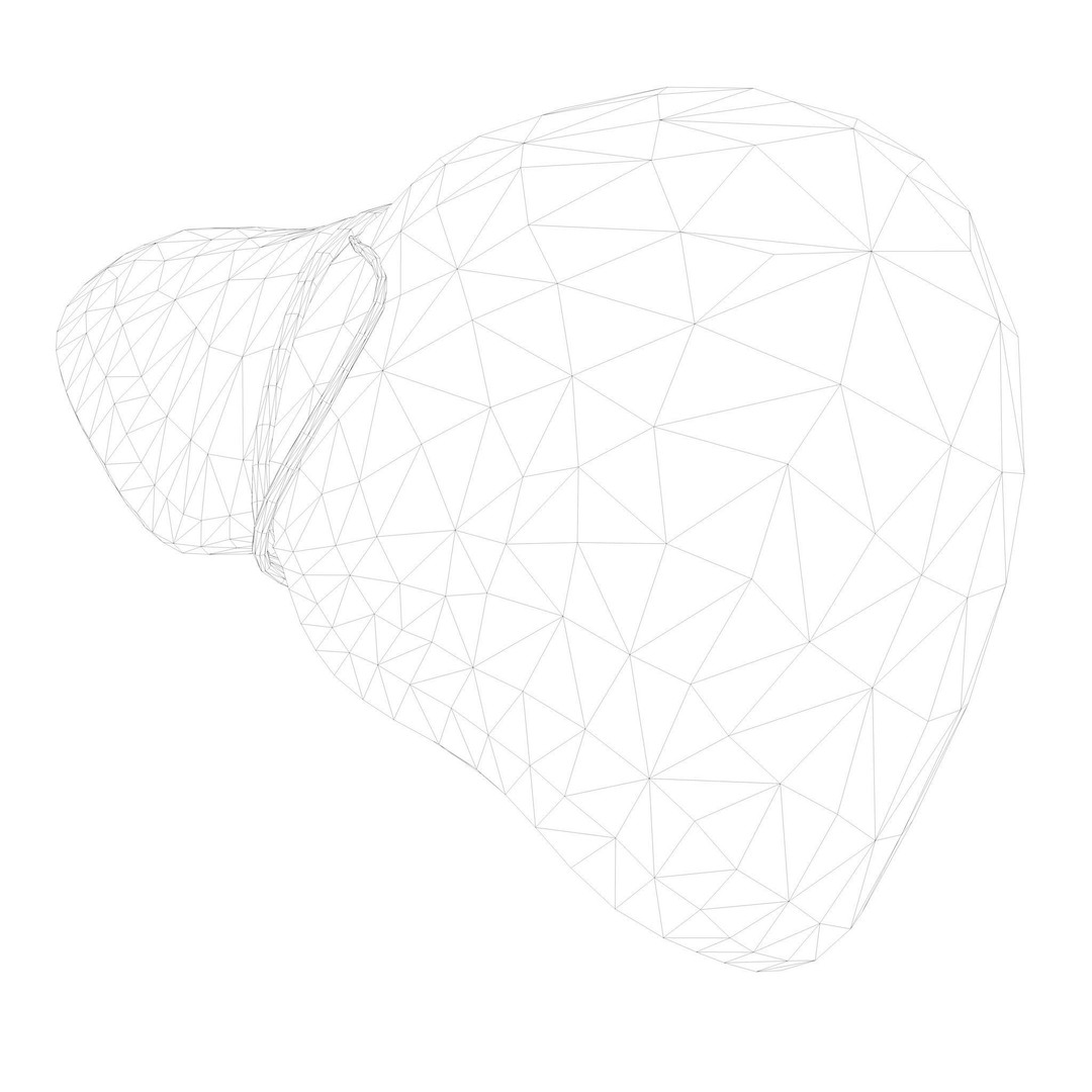 Human Liver 3D Model – Low Poly PBR Asset, FBX, OBJ - View 10