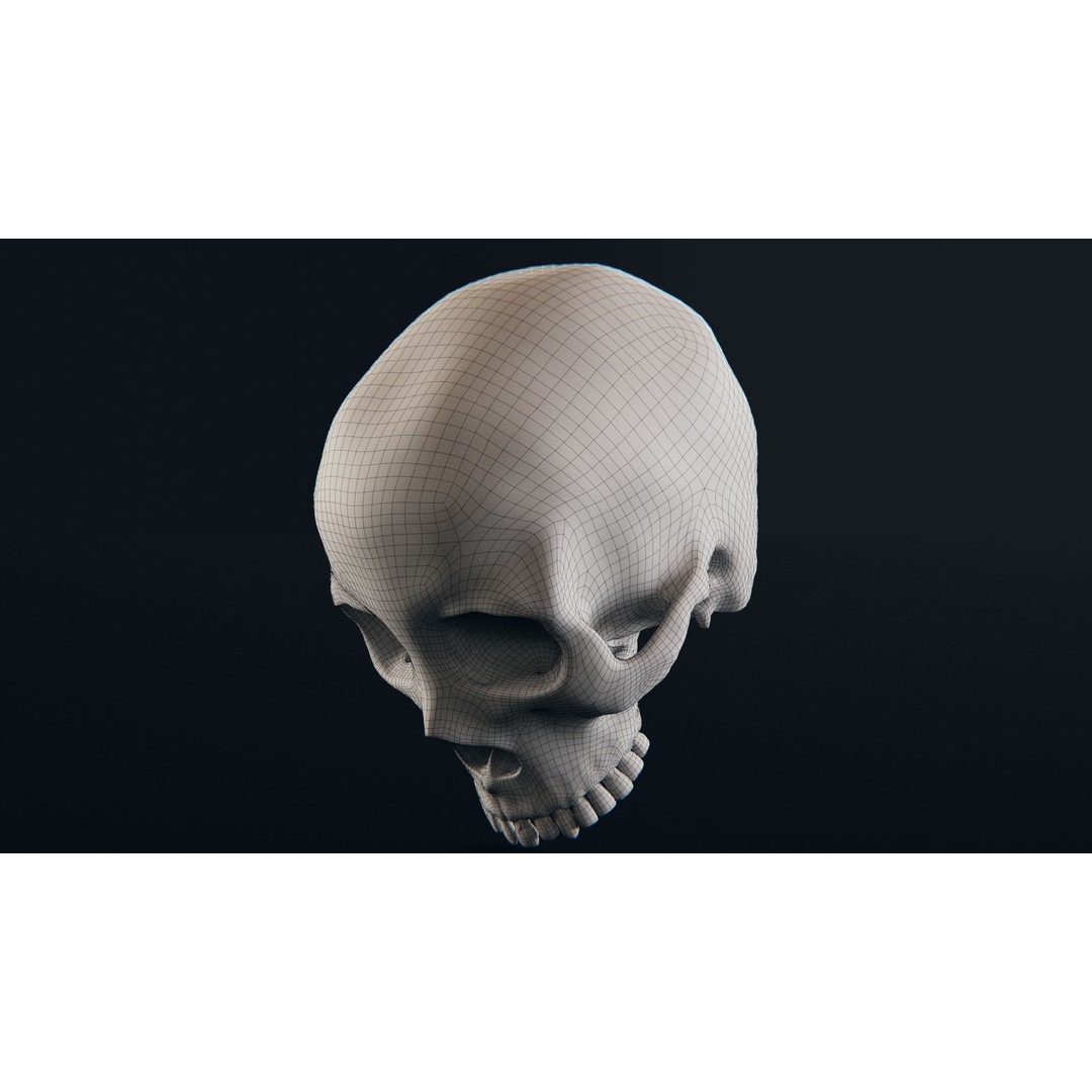 Realistic Ornated Skull 3D Model – PBR Textured, Game-Ready Formats