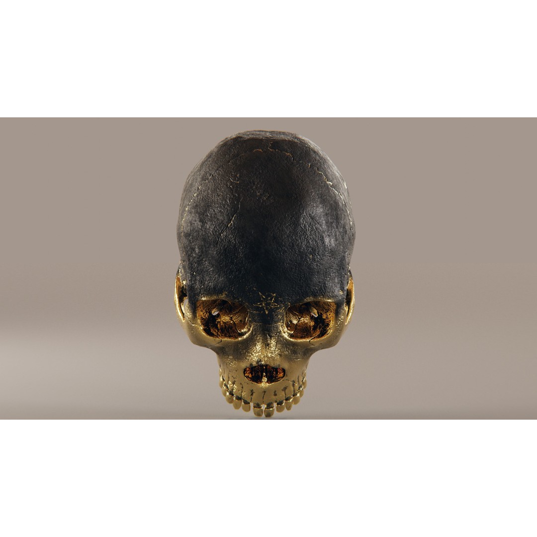 Realistic Ornated Skull 3D Model – PBR Textured, Game-Ready Formats - View 10