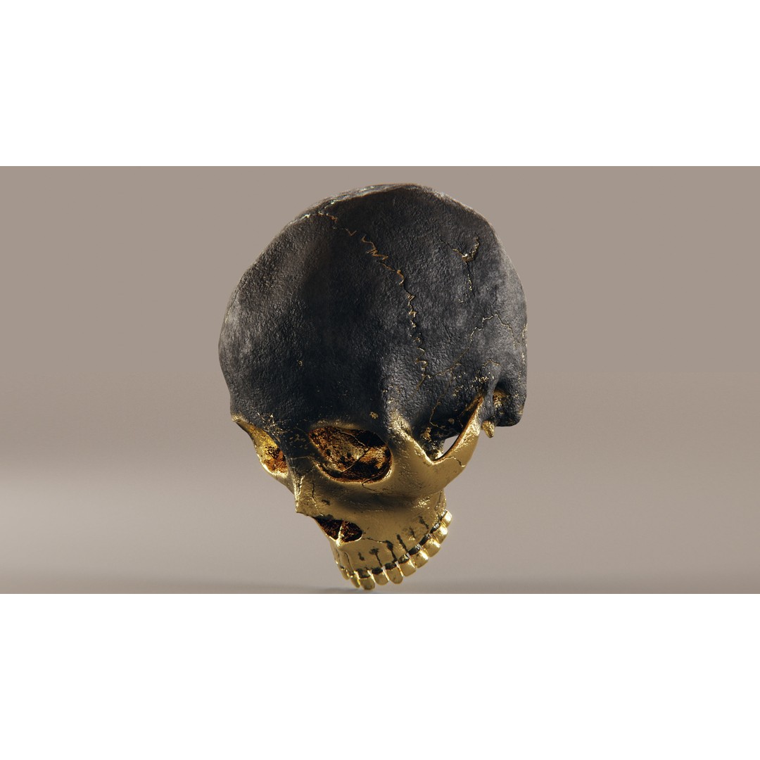 Realistic Ornated Skull 3D Model – PBR Textured, Game-Ready Formats - View 11