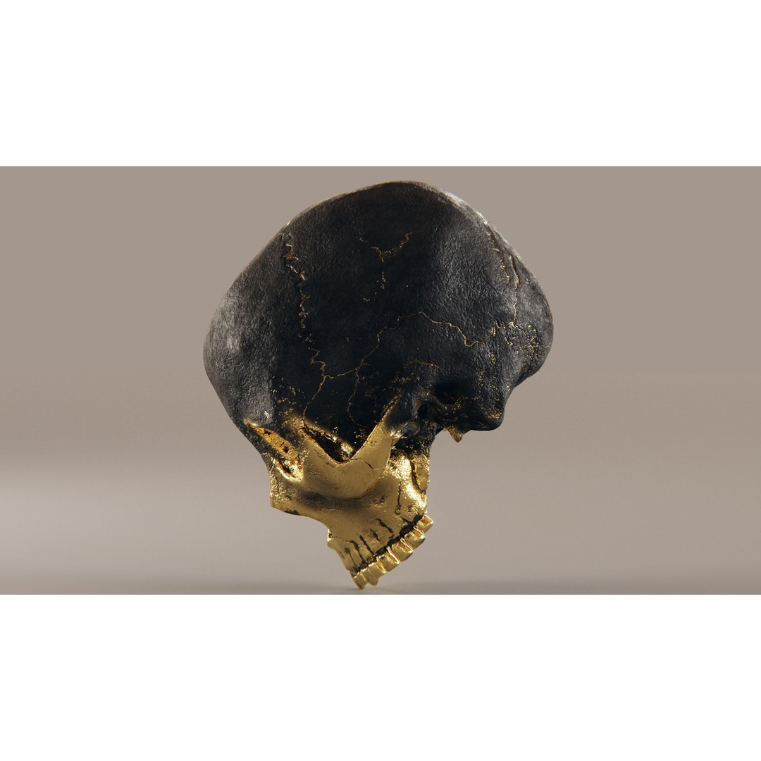 Realistic Ornated Skull 3D Model – PBR Textured, Game-Ready Formats - View 12