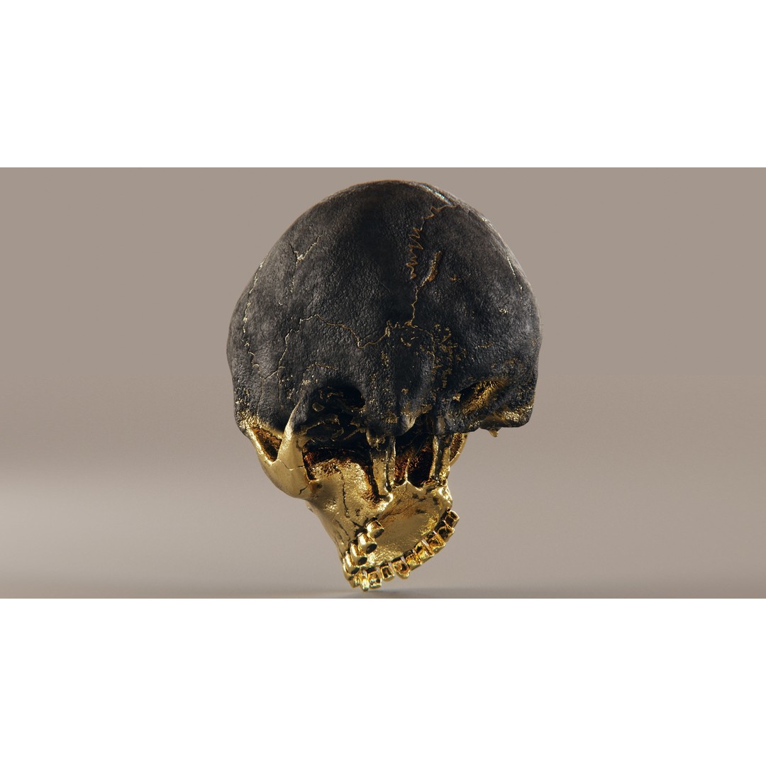 Realistic Ornated Skull 3D Model – PBR Textured, Game-Ready Formats - View 13