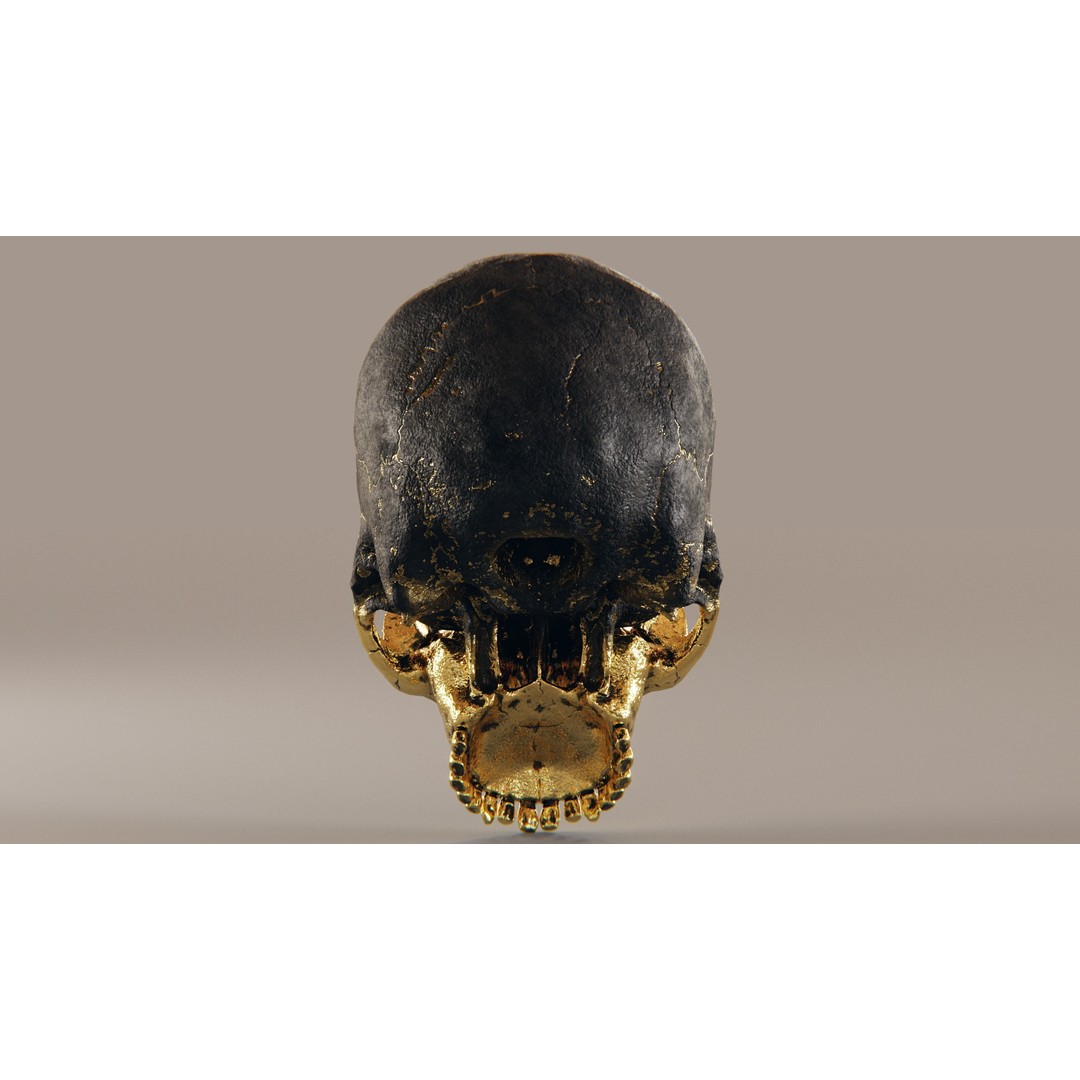 Realistic Ornated Skull 3D Model – PBR Textured, Game-Ready Formats - View 14