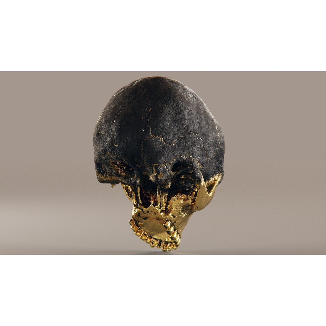 Realistic Ornated Skull 3D Model – PBR Textured, Game-Ready Formats - View 15