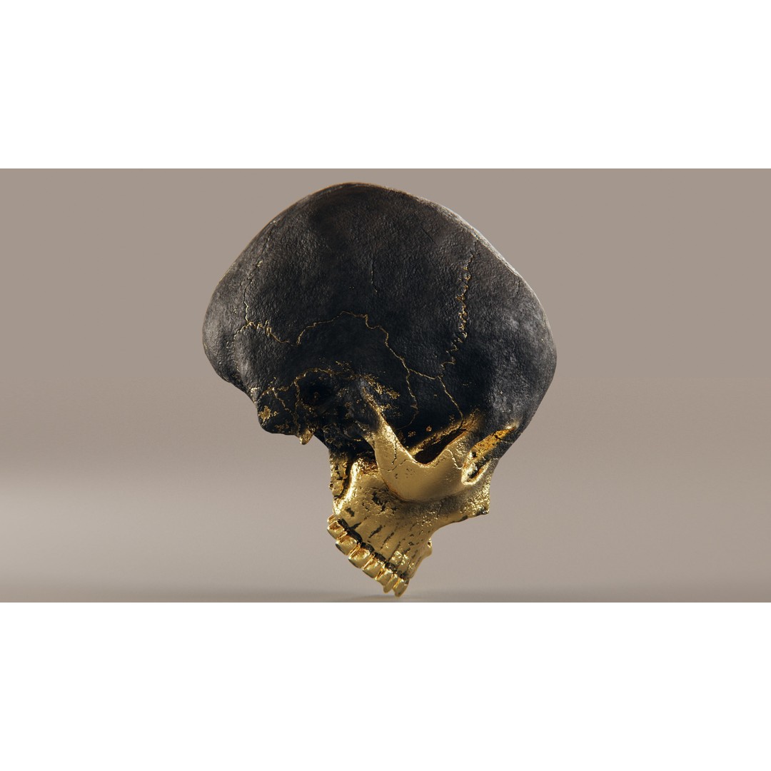 Realistic Ornated Skull 3D Model – PBR Textured, Game-Ready Formats - View 16