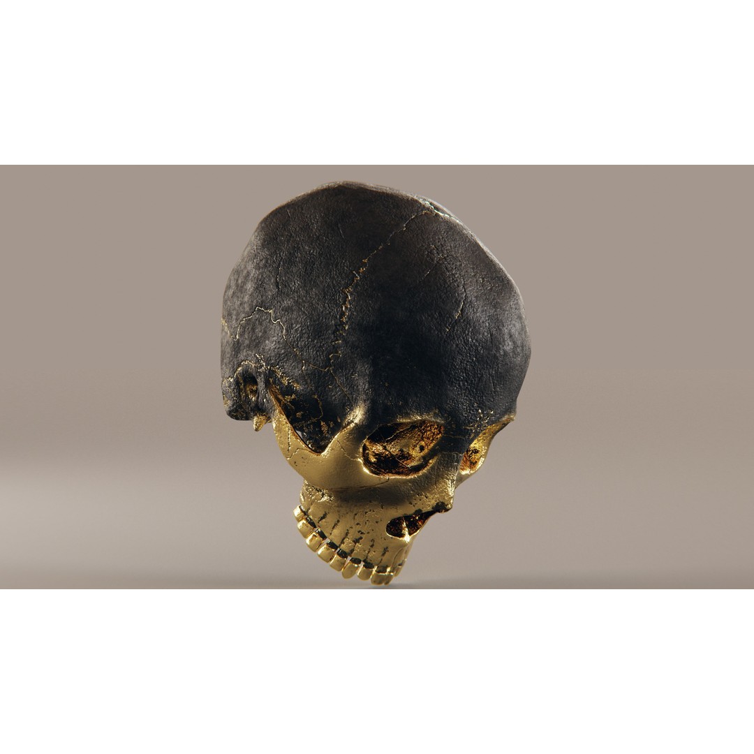 Realistic Ornated Skull 3D Model – PBR Textured, Game-Ready Formats - View 17