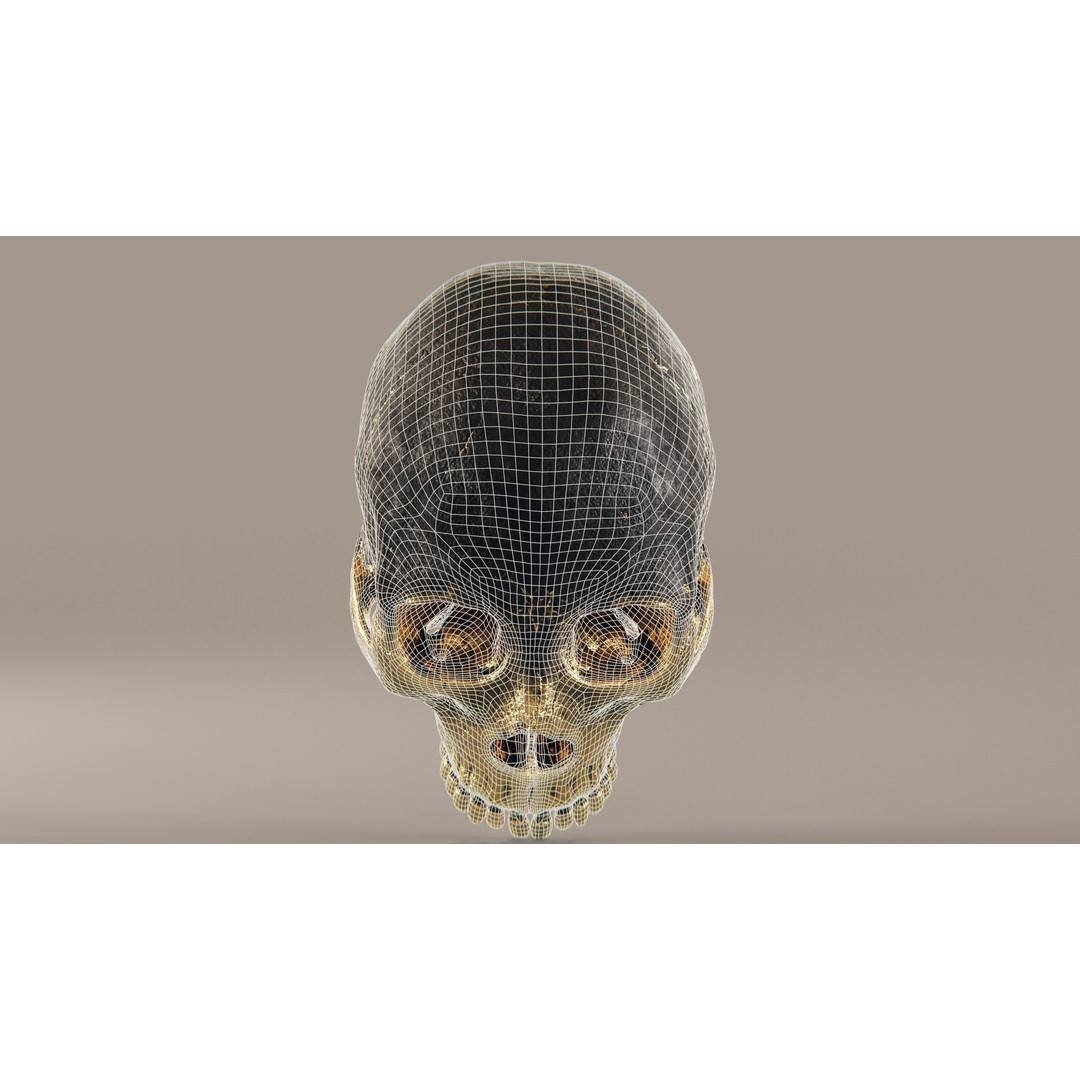 Realistic Ornated Skull 3D Model – PBR Textured, Game-Ready Formats - View 18