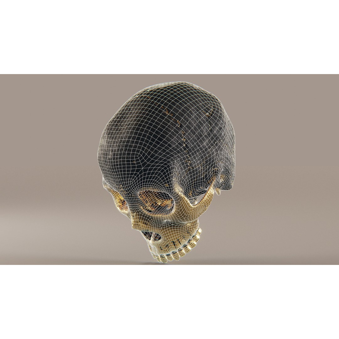 Realistic Ornated Skull 3D Model – PBR Textured, Game-Ready Formats - View 19