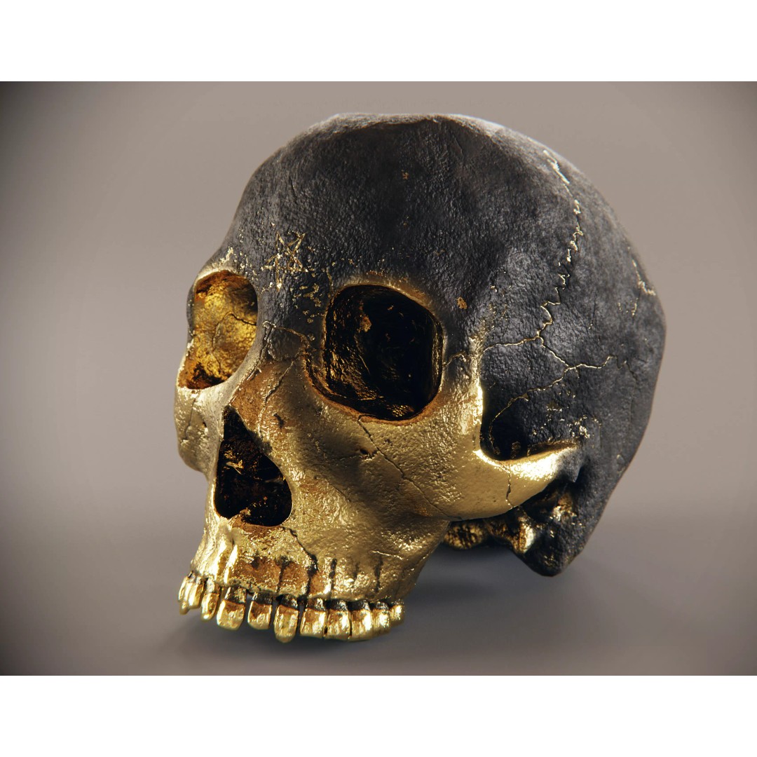Realistic Ornated Skull 3D Model – PBR Textured, Game-Ready Formats - View 2