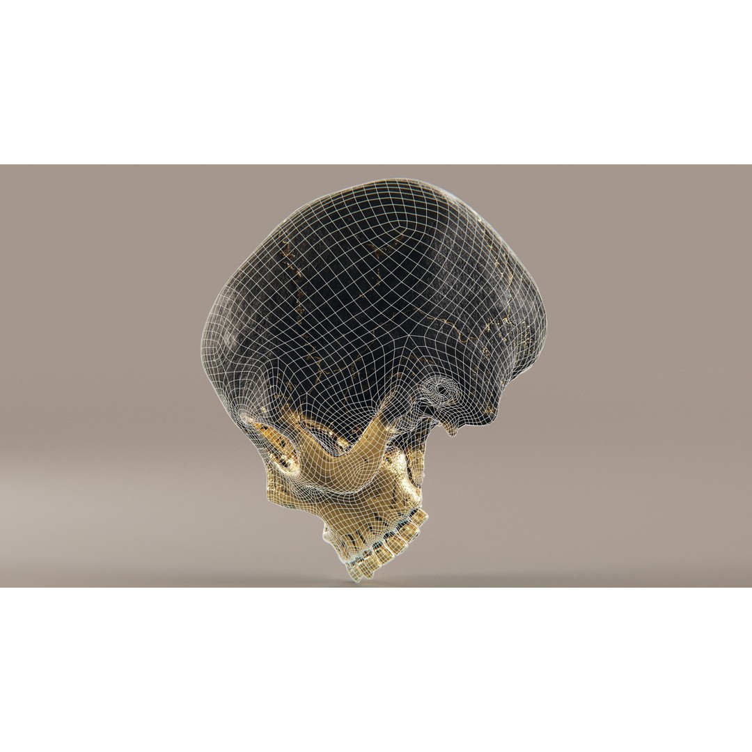 Realistic Ornated Skull 3D Model – PBR Textured, Game-Ready Formats - View 20