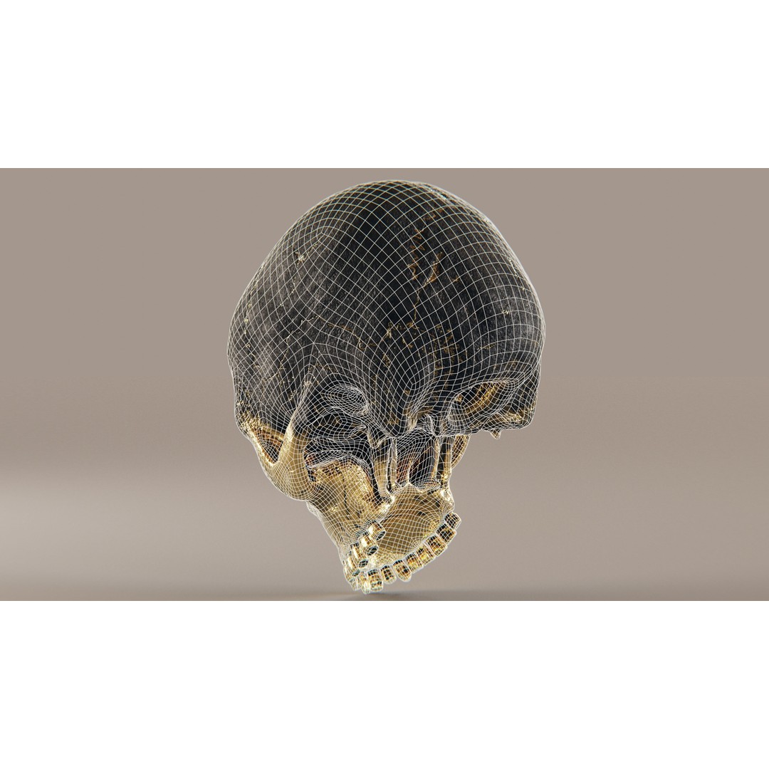 Realistic Ornated Skull 3D Model – PBR Textured, Game-Ready Formats - View 21