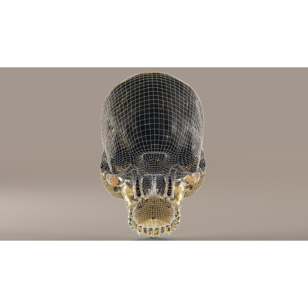 Realistic Ornated Skull 3D Model – PBR Textured, Game-Ready Formats - View 22
