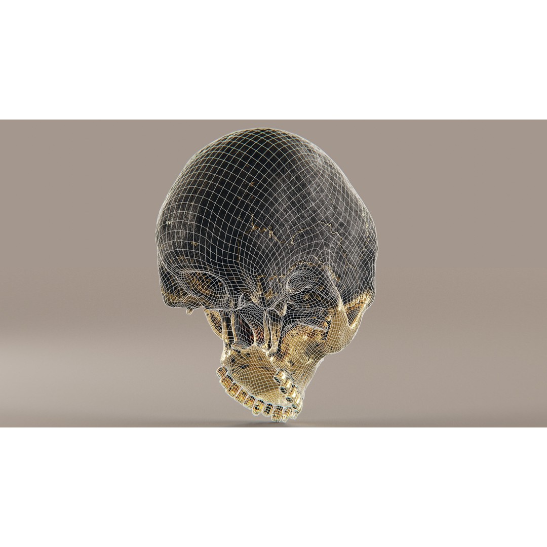 Realistic Ornated Skull 3D Model – PBR Textured, Game-Ready Formats - View 23